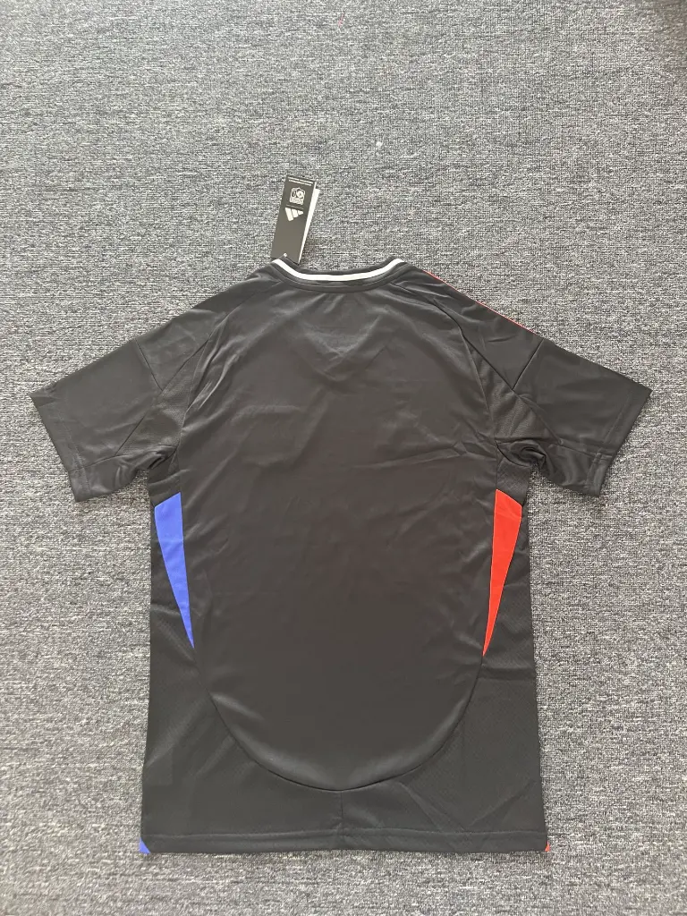 6ca6629c.webp