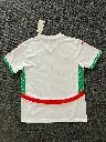f7f96bb3.webp